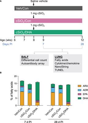 Dietary docosahexaenoic acid supplementation inhibits acute pulmonary transcriptional and autoantibody responses to a single crystalline silica exposure in lupus-prone mice